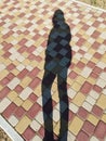 The shadow of an adult human on a sunny day on the pavement, a dark long silhouette on the floor