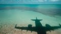 Plane reflected in the turquoise waters of a paradise beach, with white sand and palm trees Royalty Free Stock Photo