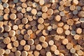 Shadow on the backgrounds of of wine corks. Royalty Free Stock Photo