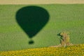 Shadow of a balloon