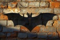 The shadow of a bat cast on an old brick wall Royalty Free Stock Photo