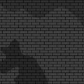 Shadow on black brick wall classic art vector illustration graphic design Royalty Free Stock Photo
