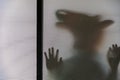 Shadow blur of man in horse head rubber mask.Man behind the frosted glass.Mystery man.Halloween funny background.Blur picture.