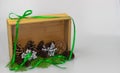 A shadow box with pine cones on greenery Royalty Free Stock Photo