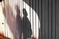 Shadow of a boy with mother at a wooden fence Royalty Free Stock Photo