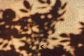 Shadow of branch on the old steel plate with rhombus shapes pattern. iron rusted surface Royalty Free Stock Photo