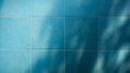 Shadow of branches and leaves on blue decorative ceramic tile wall. Royalty Free Stock Photo