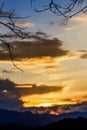 Shadow branches and sky at sunset background.