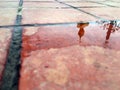 Buddha statue reflection in the water Royalty Free Stock Photo