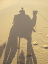 Shadow and camel