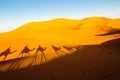 Shadow of camel caravan in Sahara Desert, Morocco.