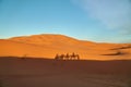 Shadow of a camel caravan on a sand dune in the desert