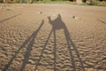 Shadow of the Camel