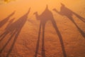 Shadow of camel riders in Wadi Rum, Jordan
