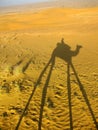 Shadow of a camel with tourist on a sand dunes, Thar desert, Ind