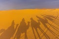 Shadow of camels riding in the Sahara Desert, Merzouga, Morocco Royalty Free Stock Photo