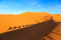 Shadow of a caravan of camels with tourist in the desert at suns