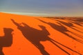 Shadow of a caravan of camels with tourist in the desert at suns