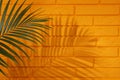 Shadow cast by tropical palm leaf on orange brick wall, space for text Royalty Free Stock Photo
