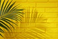 Shadow cast by tropical palm leaf on yellow brick wall, space for text Royalty Free Stock Photo