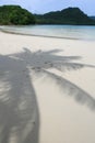 Shadow of the Coconut