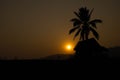 Shadow coconut and huts,mountainous,sunset