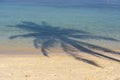 Shadow coconut palm tree over sand beach near blue sea water in Thailand. Summer, travel, vacation and holiday concept Royalty Free Stock Photo