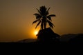 Shadow coconut,huts, mountainous,sunset