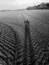 Shadow on cropland