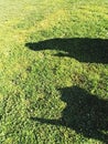 Shadow of a dog and a person Royalty Free Stock Photo