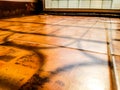 Shadow of door`s balustrade on the red brown and blemish black quarry tile. Royalty Free Stock Photo