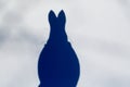 Shadow from a easter bunny, background Royalty Free Stock Photo
