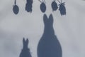 Shadow of easter eggs, and easter bunny, background Royalty Free Stock Photo
