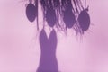 Shadow of easter eggs, and easter bunny, pink background Royalty Free Stock Photo