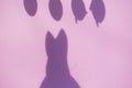 Shadow from a easter bunny, background Royalty Free Stock Photo