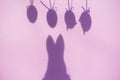 Shadow of easter eggs, and easter bunny, pink background