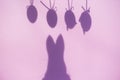 Shadow of easter eggs, and easter bunny, pink background Royalty Free Stock Photo