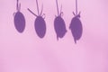 Shadow Of Easter Eggs, Pink Background
