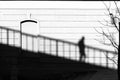 Shadow on a facade wall of a person walking down the stairs and a bare tree Royalty Free Stock Photo