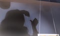 Shadow of female silhouette on the wall. Shadow of female hands hanging a picture Royalty Free Stock Photo