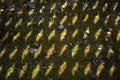 The shadow of the fence on the grass. A wooden fence is reflected from the sun in the yard. Texture, abstract background Royalty Free Stock Photo