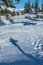 Shadow of figure snow-shoeing near Mt Shuksan, Washington, USA