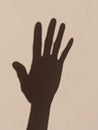 the shadow of five fingers