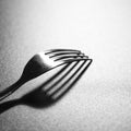 A shadow of the fork