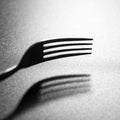 A shadow of the fork