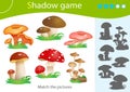 Shadow Game for kids. Match the right shadow. Color image of mushrooms. Fly agaric, chanterelles, honey agaric. Worksheet vector