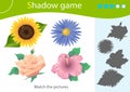 Shadow Game for kids. Match the right shadow. Color images of flowers. Rose, sunflower, mallow, aster. Worksheet vector design for