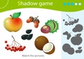 Shadow Game for kids. Match the right shadow. Color images of fruits of trees and plants. Apple, rowan, seeds, coconut, chestnut,