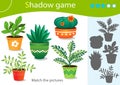 Shadow Game for kids. Match the right shadow. Color images of houseplants or indoor plants. Worksheet vector design for children