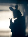 Shadow of girl with rabbit ears and a Easter bunny in hands on the wall